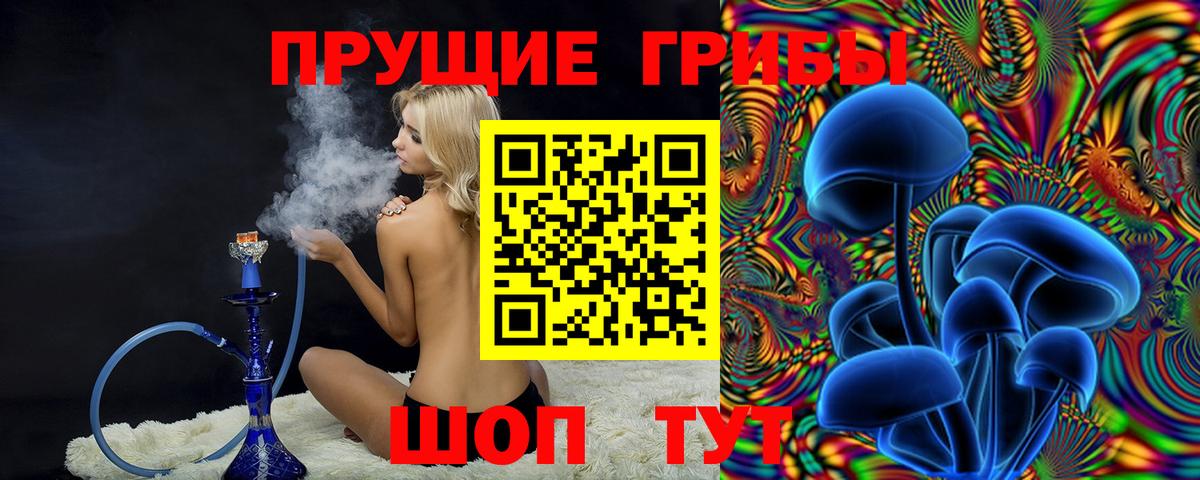 Галлюциногенные грибы Psilocybe  Вход с VPN  Нерюнгри 