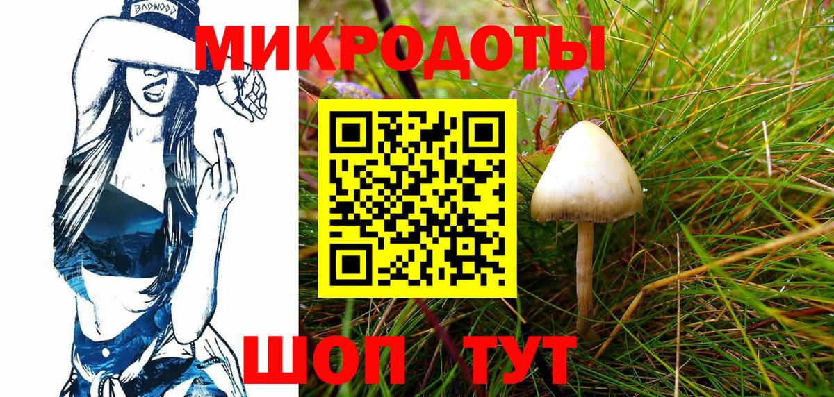 Псилоцибиновые грибы Cubensis Нерюнгри